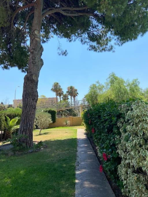 Padilla Torremolinos